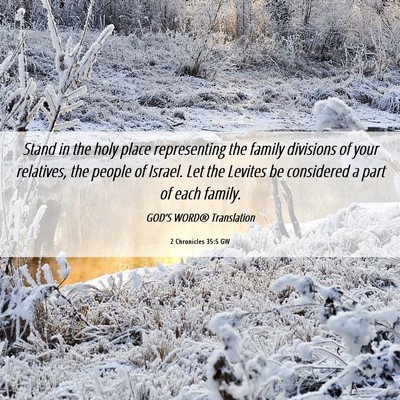 Picture 06 - 2 Chronicles 35:5 GW - Stand in the holy place representing the family - Bible Verse Picture