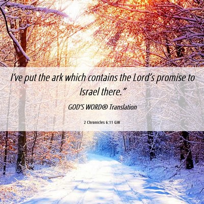 Picture 06 - 2 Chronicles 6:11 GW - I’ve put the ark which contains the Lord’s - Bible Verse Picture