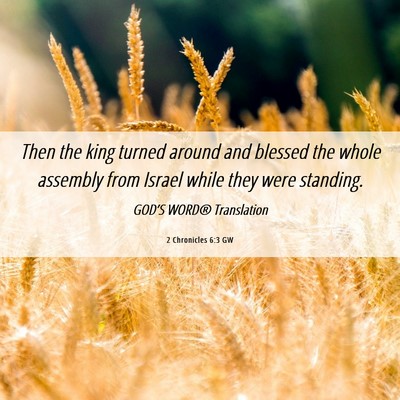 Picture 06 - 2 Chronicles 6:3 GW - Then the king turned around and blessed the whole - Bible Verse Picture