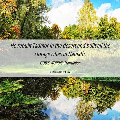 Picture 06 - 2 Chronicles 8:4 GW - He rebuilt Tadmor in the desert and built all the - Bible Verse Picture