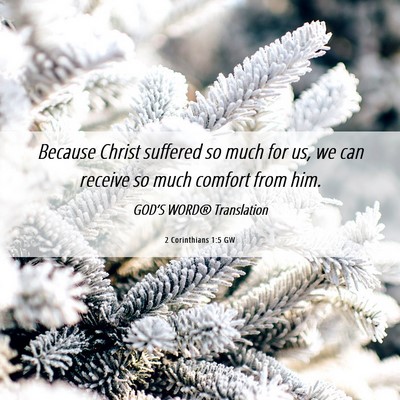 Picture 06 - 2 Corinthians 1:5 GW - Because Christ suffered so much for us, we can - Bible Verse Picture
