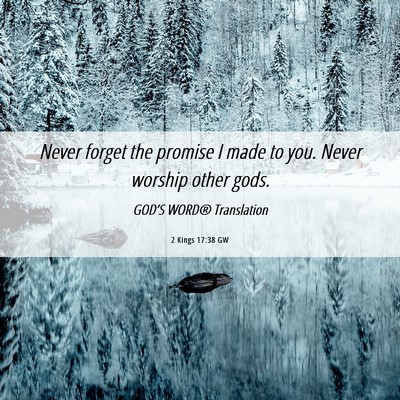 Picture 06 - 2 Kings 17:38 GW - Never forget the promise I made to you. Never - Bible Verse Picture