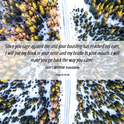 Picture 06 - 2 Kings 19:28 GW - Since you rage against me and your boasting has - Bible Verse Picture