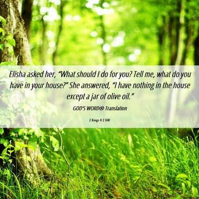Picture 06 - 2 Kings 4:2 GW - Elisha asked her, “What should I do for you? - Bible Verse Picture