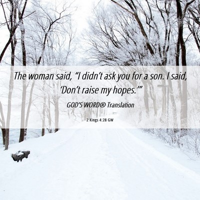Picture 06 - 2 Kings 4:28 GW - The woman said, “I didn’t ask you for a son. - Bible Verse Picture