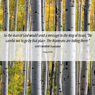 Picture 06 - 2 Kings 6:9 GW - So the man of God would send a message to the - Bible Verse Picture