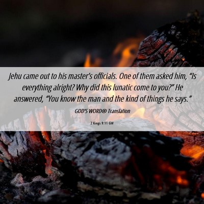 Picture 06 - 2 Kings 9:11 GW - Jehu came out to his master’s officials. One of - Bible Verse Picture