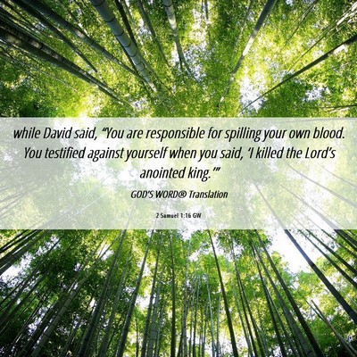 Picture 06 - 2 Samuel 1:16 GW - while David said, “You are responsible for - Bible Verse Picture