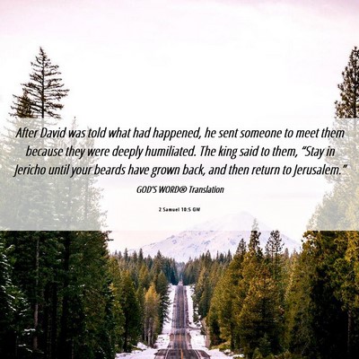 Picture 06 - 2 Samuel 10:5 GW - After David was told what had happened, he sent - Bible Verse Picture