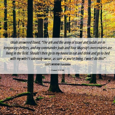 Picture 06 - 2 Samuel 11:11 GW - Uriah answered David, “The ark and the army of - Bible Verse Picture