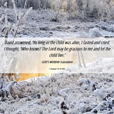 Picture 06 - 2 Samuel 12:22 GW - David answered, “As long as the child was - Bible Verse Picture