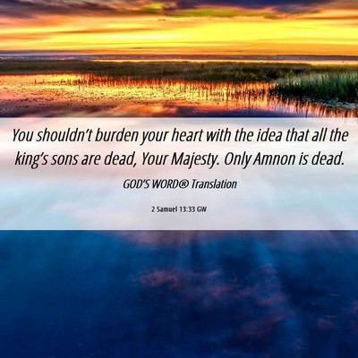 Picture 06 - 2 Samuel 13:33 GW - You shouldn’t burden your heart with the idea - Bible Verse Picture