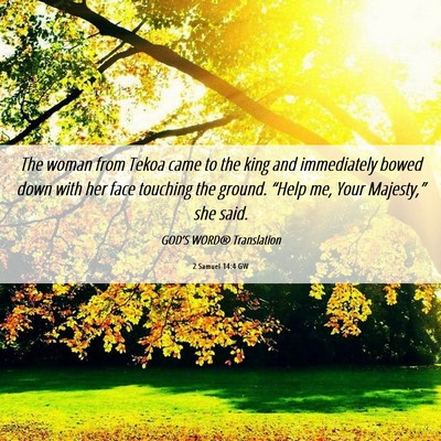 Picture 06 - 2 Samuel 14:4 GW - The woman from Tekoa came to the king and - Bible Verse Picture