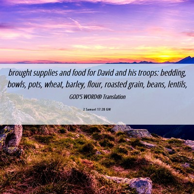 Picture 06 - 2 Samuel 17:28 GW - brought supplies and food for David and his - Bible Verse Picture