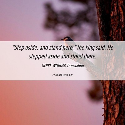 Picture 06 - 2 Samuel 18:30 GW - “Step aside, and stand here,” the king said. - Bible Verse Picture