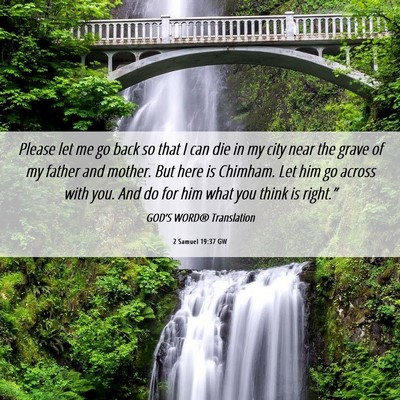 Picture 06 - 2 Samuel 19:37 GW - Please let me go back so that I can die in my - Bible Verse Picture