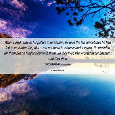 Picture 06 - 2 Samuel 20:3 GW - When David came to his palace in Jerusalem, he - Bible Verse Picture