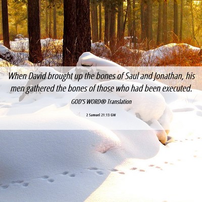 Picture 06 - 2 Samuel 21:13 GW - When David brought up the bones of Saul and - Bible Verse Picture