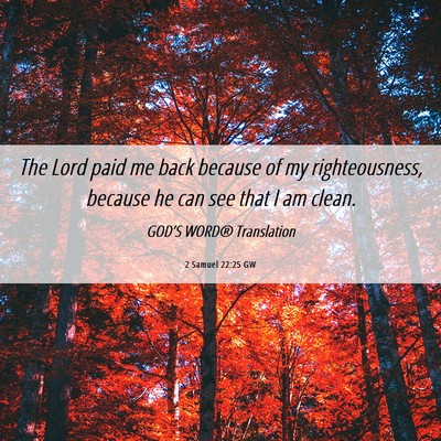Picture 06 - 2 Samuel 22:25 GW - The Lord paid me back because of my - Bible Verse Picture