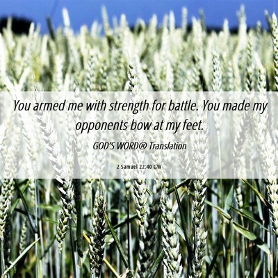 Picture 06 - 2 Samuel 22:40 GW - You armed me with strength for battle. You made - Bible Verse Picture