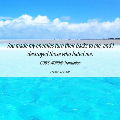Picture 06 - 2 Samuel 22:41 GW - You made my enemies turn their backs to me, and I - Bible Verse Picture