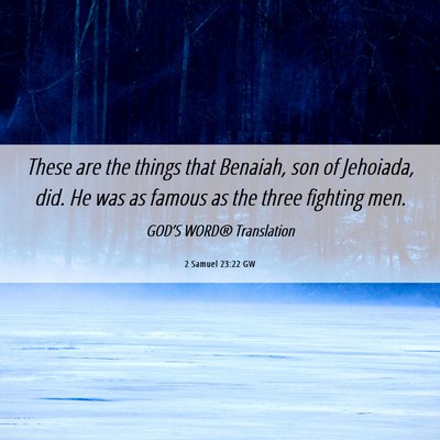 Picture 06 - 2 Samuel 23:22 GW - These are the things that Benaiah, son of - Bible Verse Picture