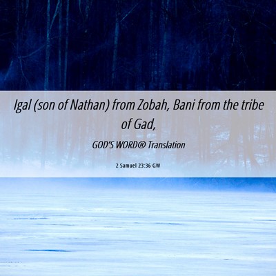 Picture 06 - 2 Samuel 23:36 GW - Igal (son of Nathan) from Zobah, Bani from the - Bible Verse Picture