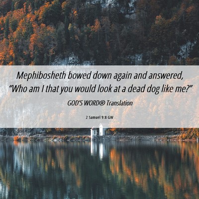 Picture 06 - 2 Samuel 9:8 GW - Mephibosheth bowed down again and answered, - Bible Verse Picture