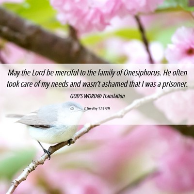 Picture 06 - 2 Timothy 1:16 GW - May the Lord be merciful to the family of - Bible Verse Picture