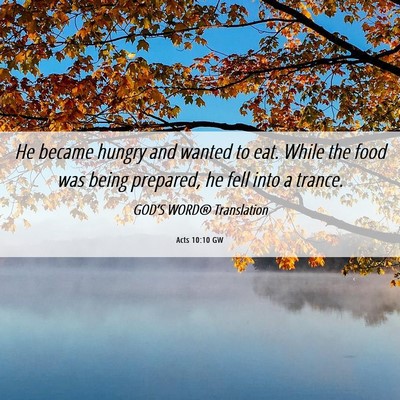 Picture 06 - Acts 10:10 GW - He became hungry and wanted to eat. While the - Bible Verse Picture