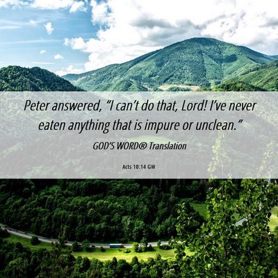 Picture 06 - Acts 10:14 GW - Peter answered, “I can’t do that, Lord! - Bible Verse Picture