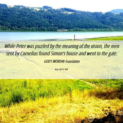 Picture 06 - Acts 10:17 GW - While Peter was puzzled by the meaning of the - Bible Verse Picture