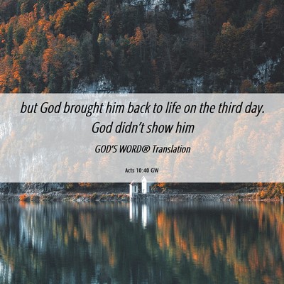 Picture 06 - Acts 10:40 GW - but God brought him back to life on the third - Bible Verse Picture