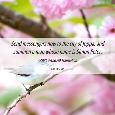 Picture 06 - Acts 10:5 GW - Send messengers now to the city of Joppa, and - Bible Verse Picture