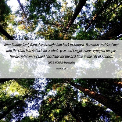 Picture 06 - Acts 11:26 GW - After finding Saul, Barnabas brought him back to - Bible Verse Picture