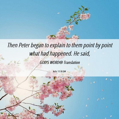 Picture 06 - Acts 11:4 GW - Then Peter began to explain to them point by - Bible Verse Picture