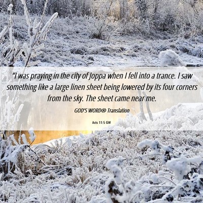 Picture 06 - Acts 11:5 GW - “I was praying in the city of Joppa when I fell - Bible Verse Picture