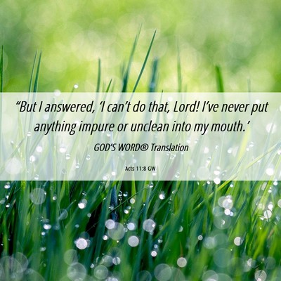 Picture 06 - Acts 11:8 GW - “But I answered, ‘I can’t do that, Lord! - Bible Verse Picture