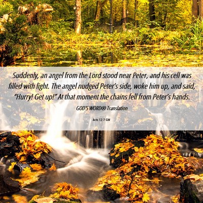 Picture 06 - Acts 12:7 GW - Suddenly, an angel from the Lord stood near - Bible Verse Picture