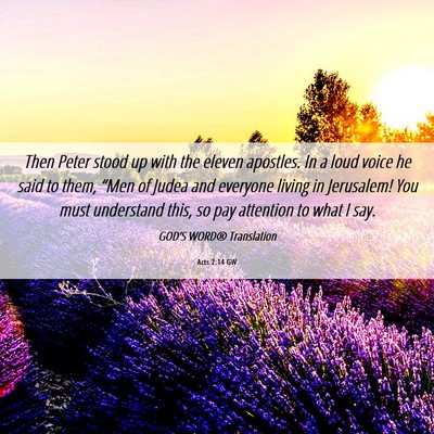 Picture 06 - Acts 2:14 GW - Then Peter stood up with the eleven apostles. In - Bible Verse Picture