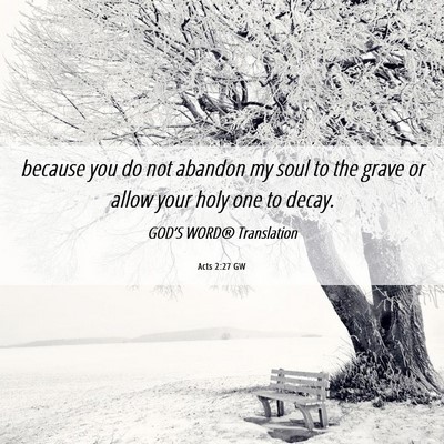 Picture 06 - Acts 2:27 GW - because you do not abandon my soul to the grave - Bible Verse Picture