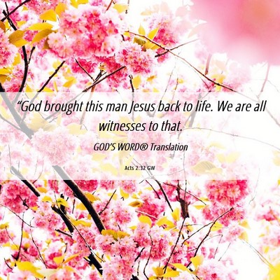 Picture 06 - Acts 2:32 GW - “God brought this man Jesus back to life. We - Bible Verse Picture