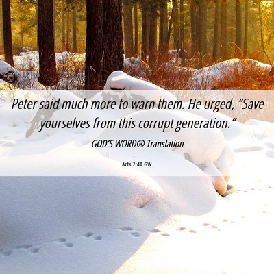 Picture 06 - Acts 2:40 GW - Peter said much more to warn them. He urged, - Bible Verse Picture