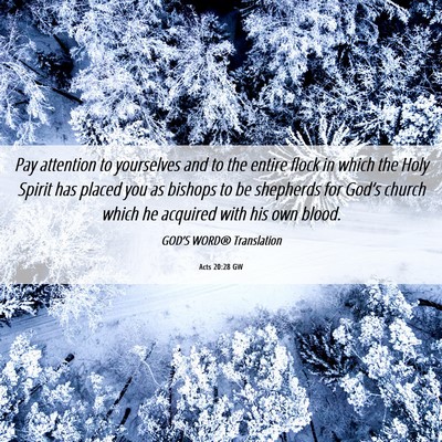 Picture 06 - Acts 20:28 GW - Pay attention to yourselves and to the entire - Bible Verse Picture
