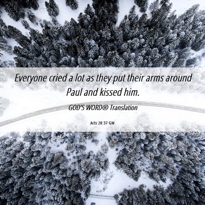 Picture 06 - Acts 20:37 GW - Everyone cried a lot as they put their arms - Bible Verse Picture