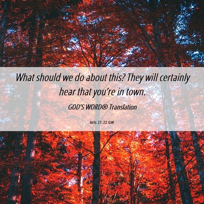 Picture 06 - Acts 21:22 GW - What should we do about this? They will certainly - Bible Verse Picture