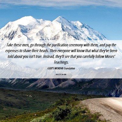 Picture 06 - Acts 21:24 GW - Take these men, go through the purification - Bible Verse Picture