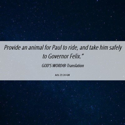 Picture 06 - Acts 23:24 GW - Provide an animal for Paul to ride, and take him - Bible Verse Picture