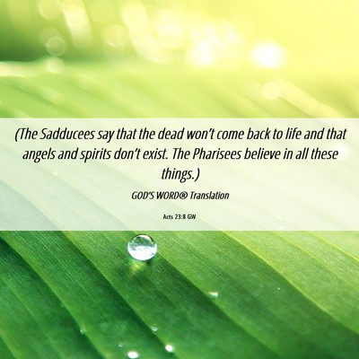 Picture 06 - Acts 23:8 GW - (The Sadducees say that the dead won’t come - Bible Verse Picture