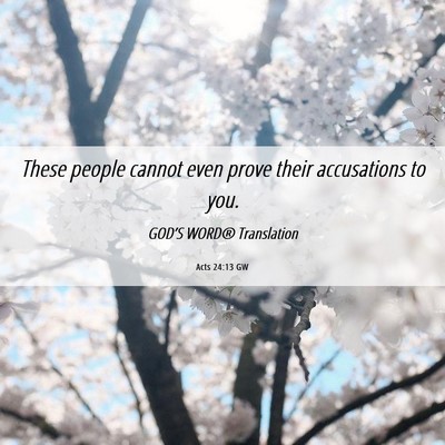 Picture 06 - Acts 24:13 GW - These people cannot even prove their accusations - Bible Verse Picture